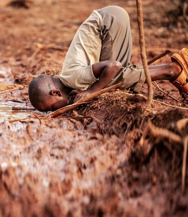Sustainable Living Image
