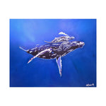 A Mother and Child Reunion- Humpback Whales