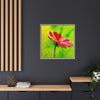 She Loves Me  Framed Canvas Art