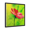 She Loves Me  Framed Canvas Art