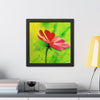 She Loves Me — Framed Art Print