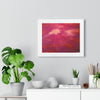 Crimson And Rose — Framed Art Print