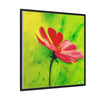 She Loves Me  Framed Canvas Art