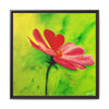 She Loves Me  Framed Canvas Art