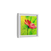She Loves Me  Framed Canvas Art
