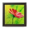 She Loves Me  Framed Canvas Art