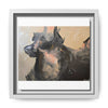 Chasing Shadows-Happy Dog Running Framed Canvas Art