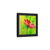 She Loves Me  Framed Canvas Art