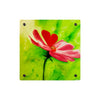 She Loves Me — Acrylic Print