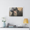 Chasing Shadows-Happy Dog Running — Framed Art Print