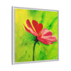 She Loves Me  Framed Canvas Art