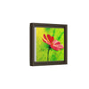 She Loves Me  Framed Canvas Art