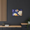 Rocket Quack. A Feathered Tribute to the King of Keys Framed Canvas