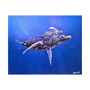 A Mother and Child Reunion- Humpback Whales