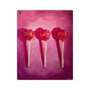 Candy is Dandy (Triple Sweet) — Acrylic Print