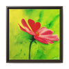 She Loves Me  Framed Canvas Art