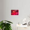 Love, In Full Color — Acrylic Print
