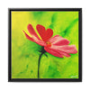 She Loves Me  Framed Canvas Art