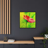 She Loves Me  Framed Canvas Art