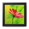 She Loves Me  Framed Canvas Art
