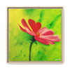 She Loves Me  Framed Canvas Art