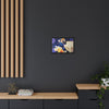 Rocket Quack. A Feathered Tribute to the King of Keys Framed Canvas