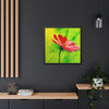 She Loves Me — Framed Art Print