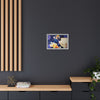 Rocket Quack. A Feathered Tribute to the King of Keys Framed Canvas