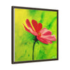 She Loves Me  Framed Canvas Art