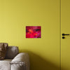 Love, In Full Color — Acrylic Print