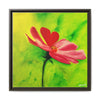 She Loves Me  Framed Canvas Art