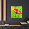She Loves Me  Framed Canvas Art