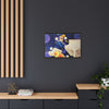 Rocket Quack. A Feathered Tribute to the King of Keys Framed Canvas