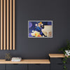 Rocket Quack. A Feathered Tribute to the King of Keys Framed Canvas