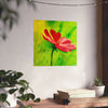 She Loves Me - Premium Matte Posters