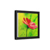 She Loves Me  Framed Canvas Art