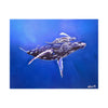 A Mother and Child Reunion- Humpback Whales