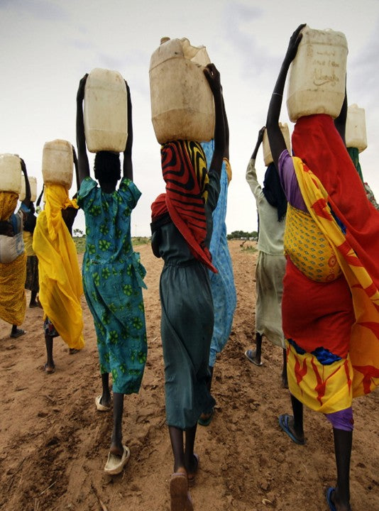 Sustainable Living Image