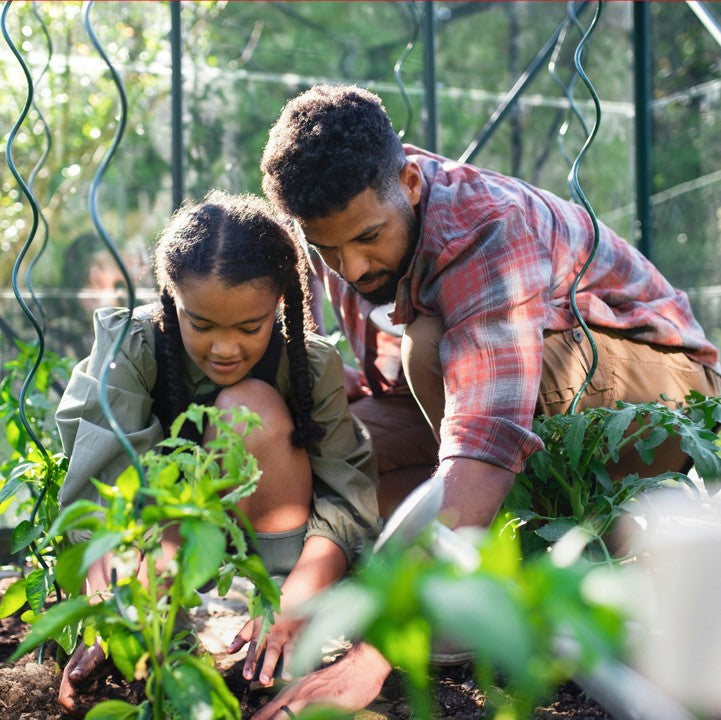 Sustainable Living Image